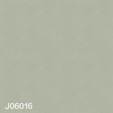 J06(016-020)