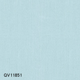 QV118(51-55)