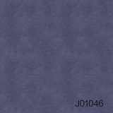 J01(046-050)